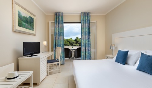 Classic Double Room