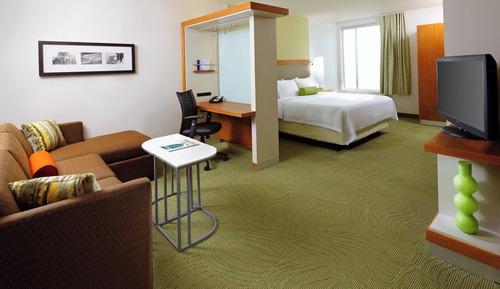 Studio, 1 King Bed with Sofa bed (Mobility/Hearing Access, Roll-In Shwr)