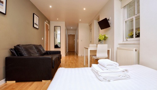 Deluxe Lower Ground Floor Studio