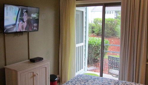 Deluxe Condo, 1 Bedroom, Park View