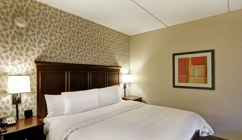 Room, 1 King Bed