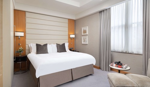 One Bedroom Suite