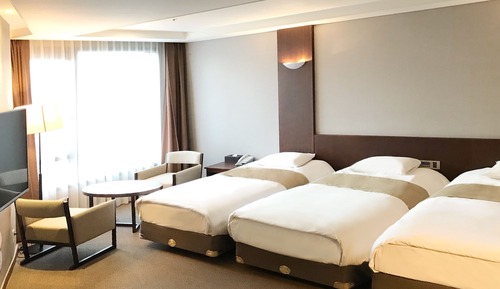 Basic Triple Room