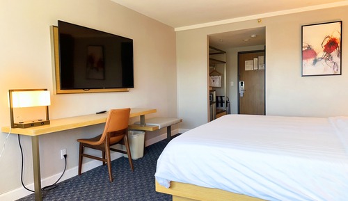 Single Room, Non Smoking