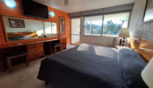 Room, 1 King Bed