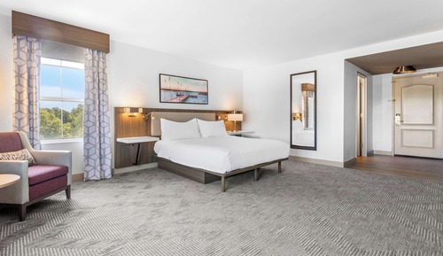 Room, 1 King Bed, Accessible (Roll-In Shower)