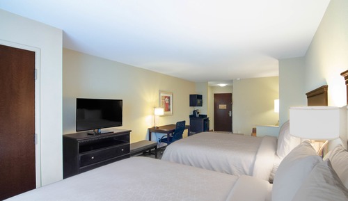 Suite, 1 King Bed with Sofa bed, Accessible, Non Smoking