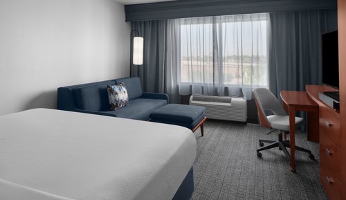 Room, 1 King Bed with Sofa bed
