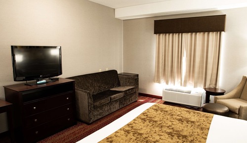 Standard Room, 1 King Bed, Non Smoking, Refrigerator & Microwave (with Single Sofabed)