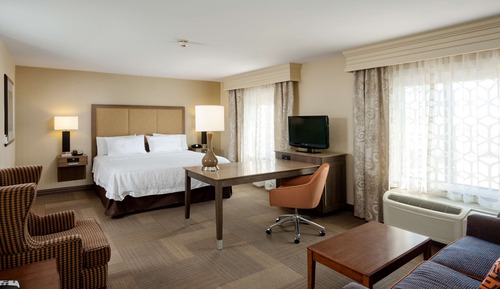 Studio Suite, 1 King Bed