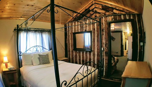Traditional Cabin, 1 Queen Bed, Fireplace, Mountain View