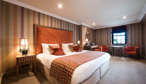 Superior Room, 1 King Bed, Non Smoking