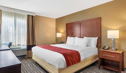 Room, 1 King Bed, Accessible, Non Smoking