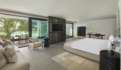 Executive Suite, 1 King Bed