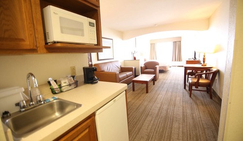 Suite, 1 King Bed, Non Smoking, Refrigerator & Microwave (with Sofabed)