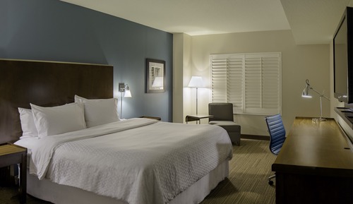 Traditional Room, 1 King Bed, City View (Hearing Accessible)