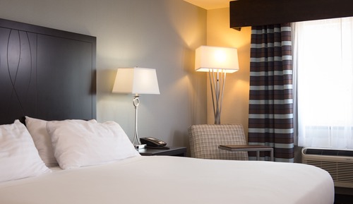 Standard Room, 1 King Bed, Accessible (Hearing Accessible, Transfer Shower)