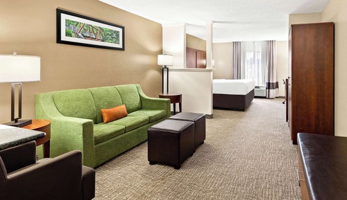Suite, 1 King Bed, Non Smoking