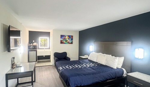 Standard Room, 1 King Bed, Non Smoking