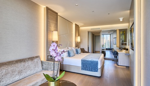 Standard Double Room Single Use