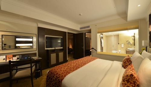 Studio, 1 King Bed