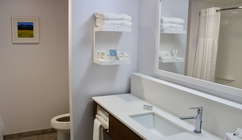 Room, Accessible, Bathtub (Mobility & Hearing)