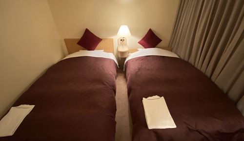 Economy Twin Room, Non Smoking