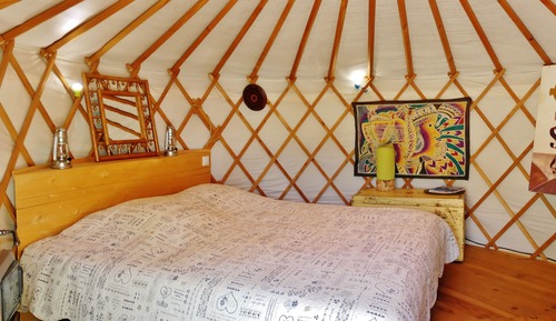 Standard Tent, Pool View