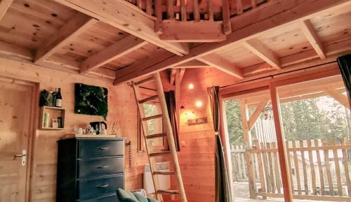 Comfort Tree House