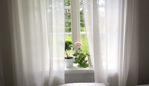 Cottage, Patio
