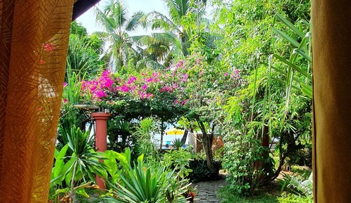 Standard Bungalow