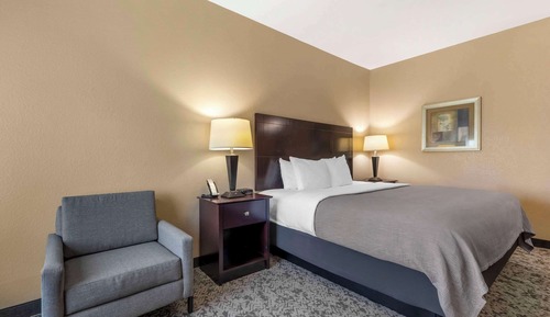 Standard Room, 1 King Bed, Non Smoking