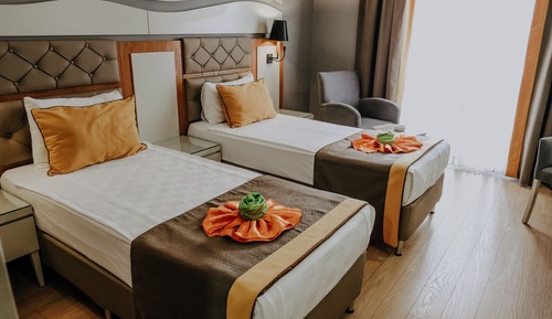 Double Room, Mountain View