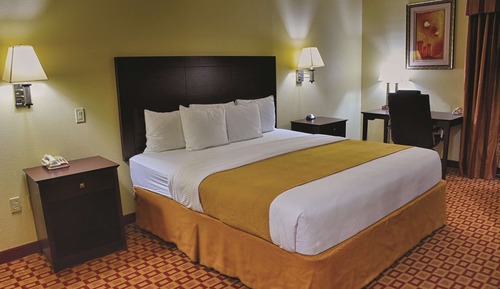 Room, 1 King Bed, Non Smoking