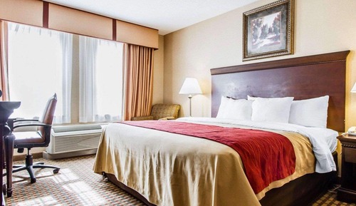 Standard Room, 1 King Bed, Non Smoking