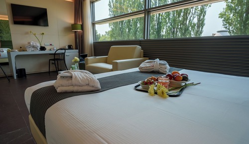 Junior Suite, 1 King Bed