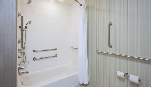 Room, 1 King Bed with Sofa bed (Mobility Accessible, Roll-In Shower)