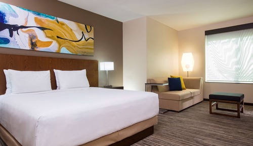 Room, 1 King Bed with Sofa bed