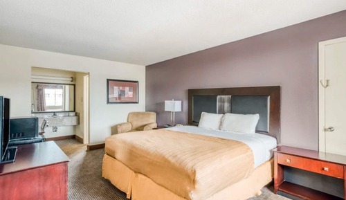 Room, 1 King Bed