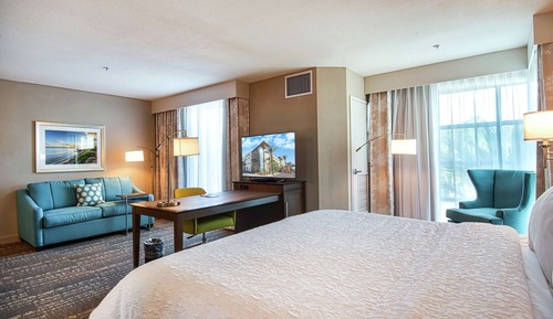 Studio, 1 King Bed, Non Smoking, Refrigerator & Microwave