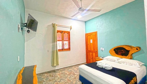 Basic Double Room