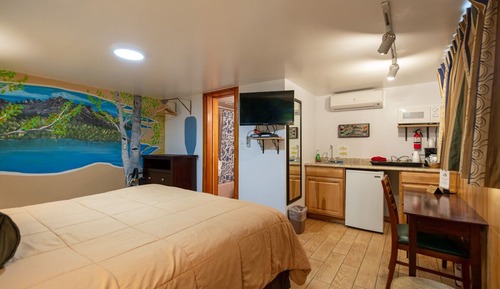Room, 1 King Bed, Mountain View
