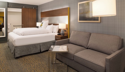 Suite, 1 King Bed with Sofa bed (Roll-In Shower)