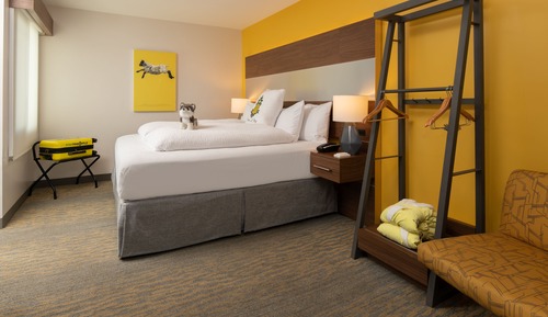 Room, 1 King Bed, Accessible