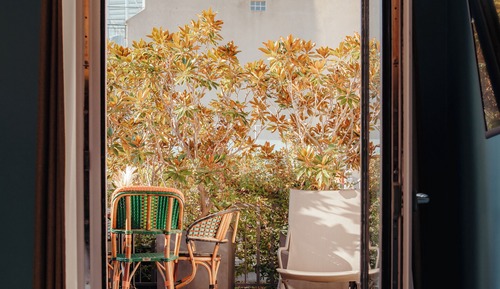 Suite, 1 Bedroom, Terrace