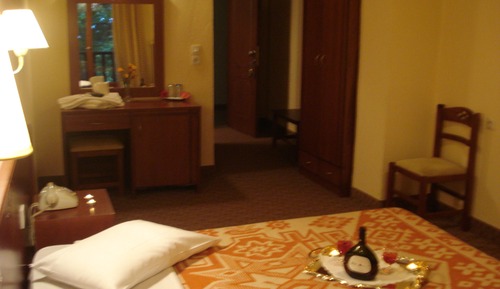 Double or Twin Room, Mountain View
