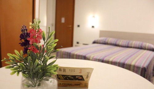 Basic Double or Twin Room