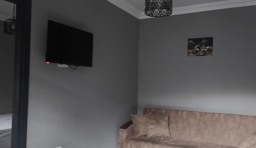 Standard Suite