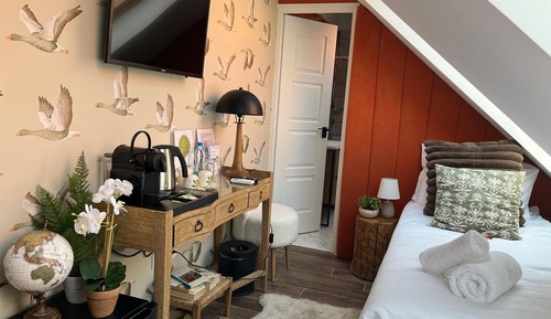 Economy Twin Room