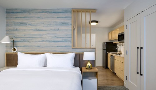 Studio, 1 King Bed with Sofa bed
